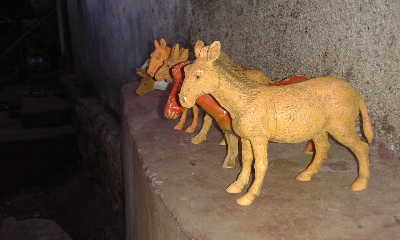 澳门特马网站www：本期推荐猪、鸡、羊、蛇