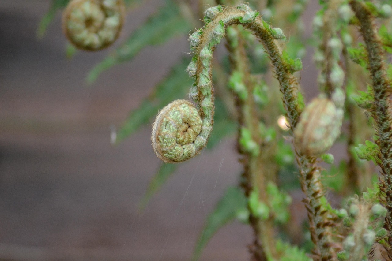 豆芽新鲜资讯，探索新时代信息源泉，掌握最新动态资讯