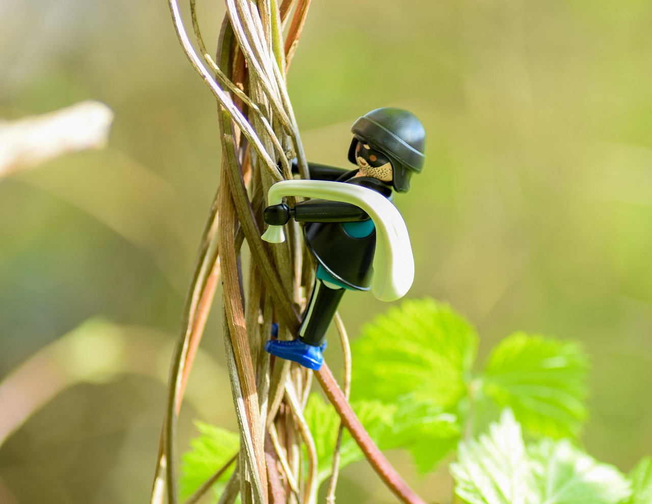 中卫赛鸽公棚最新公告发布,最新动态一网打尽