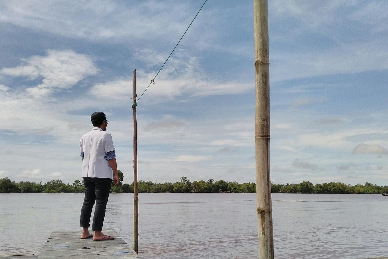 北大医药股票最新动态解析,行业趋势与公司策略深度分析