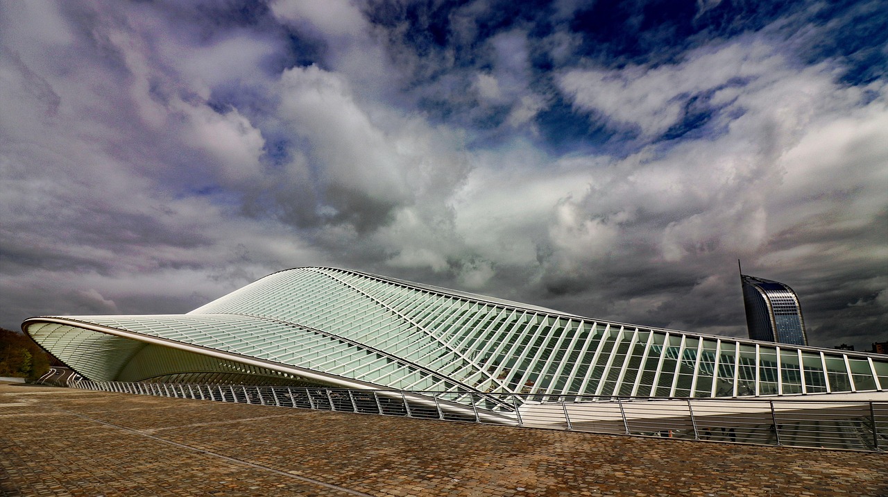 南昌最新鸟巢,现代都市中的自然生态奇观