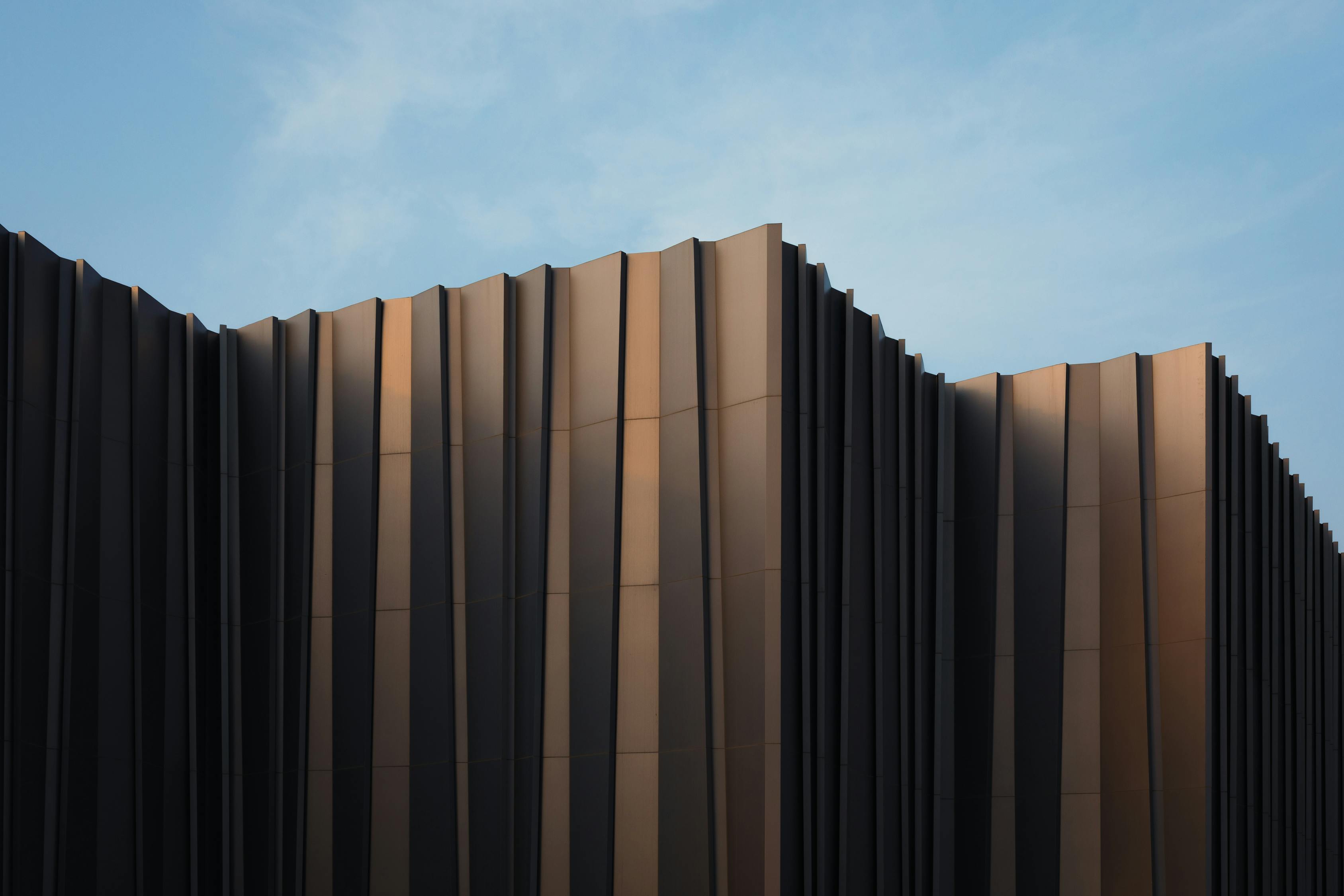 抓的越紧 第5页