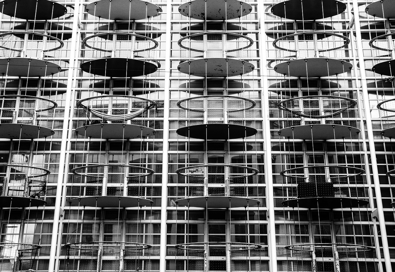 内蒙古绿豆市场价格行情深度解析与趋势分析