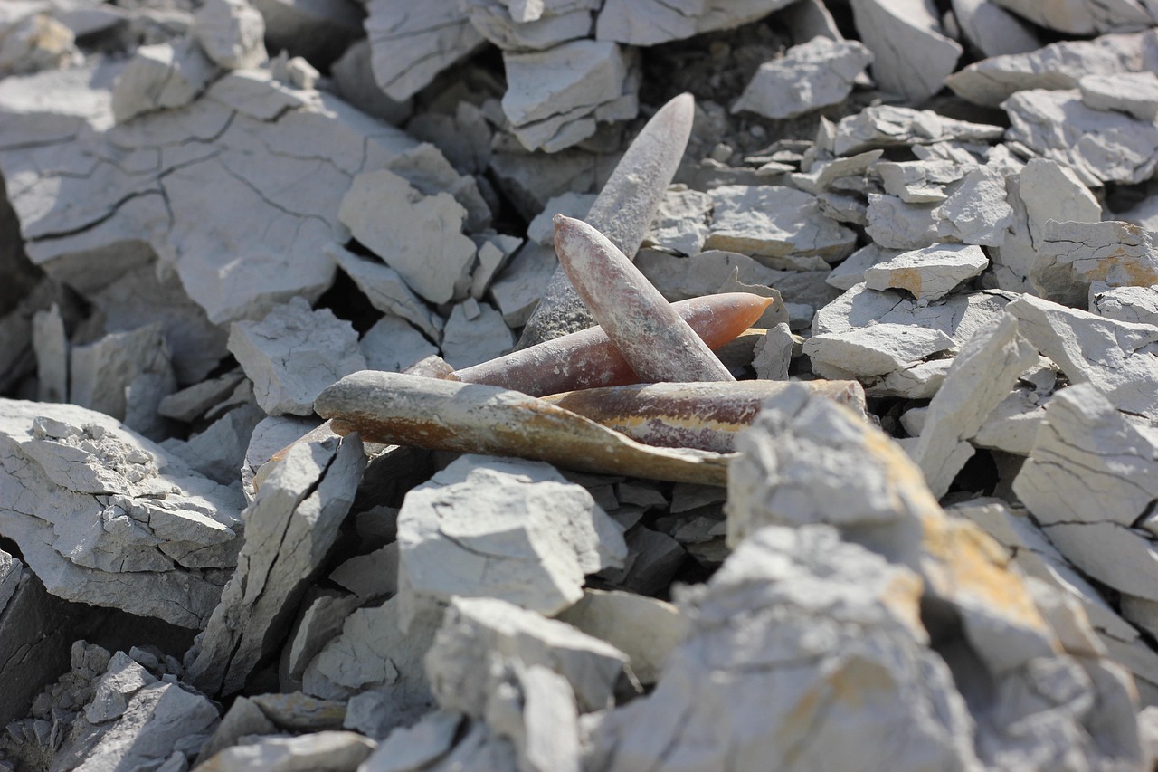 最新权健动态,展现新风貌,引领新时代的力量