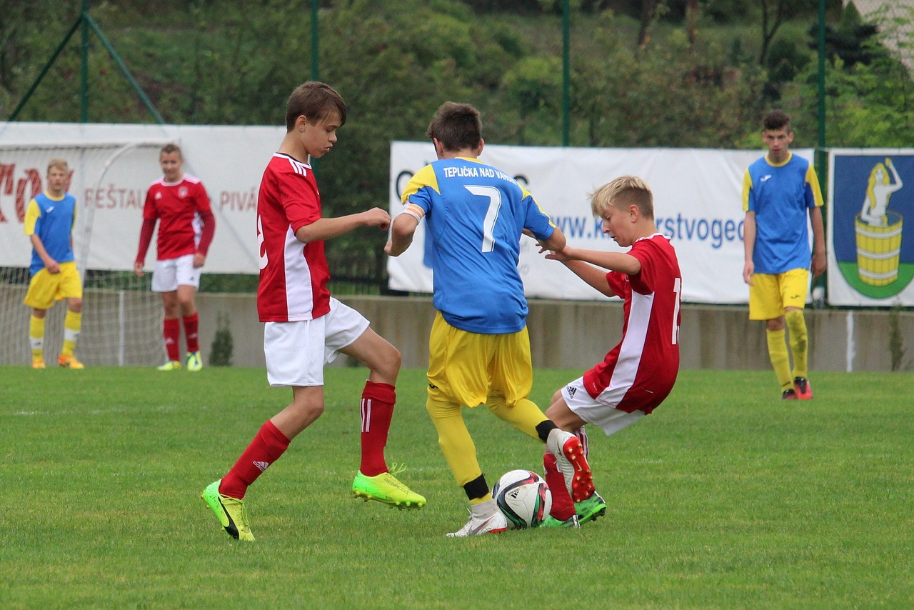 自由搏击比赛规则详解与概述