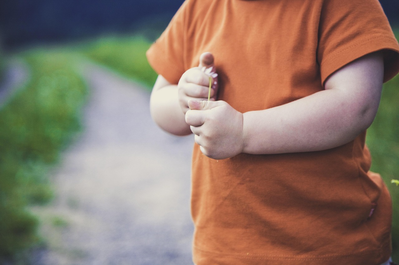 中国安芯引领国产芯片产业迈向新高度，最新动态揭秘