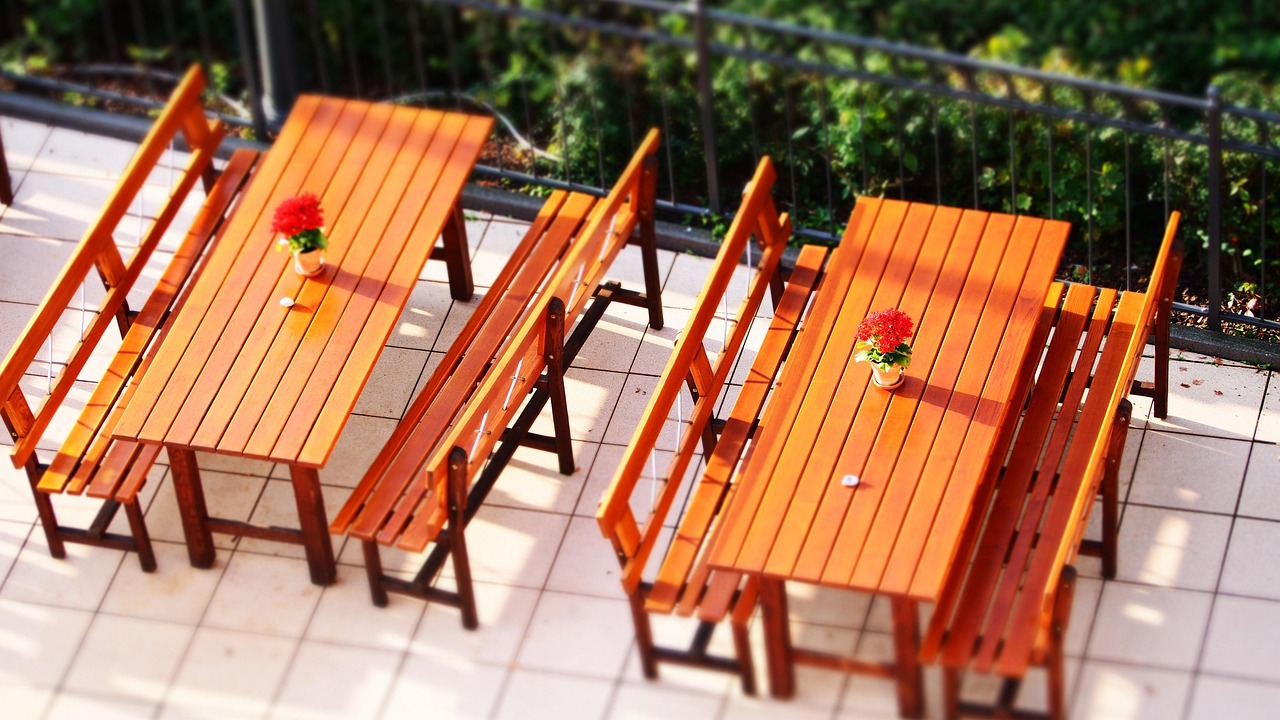 阳山最新资讯概览,时事动态一网打尽