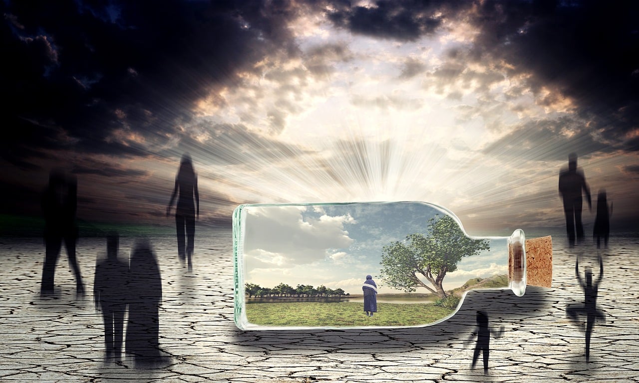 电影立春,生命力量与艺术魅力的探寻之旅