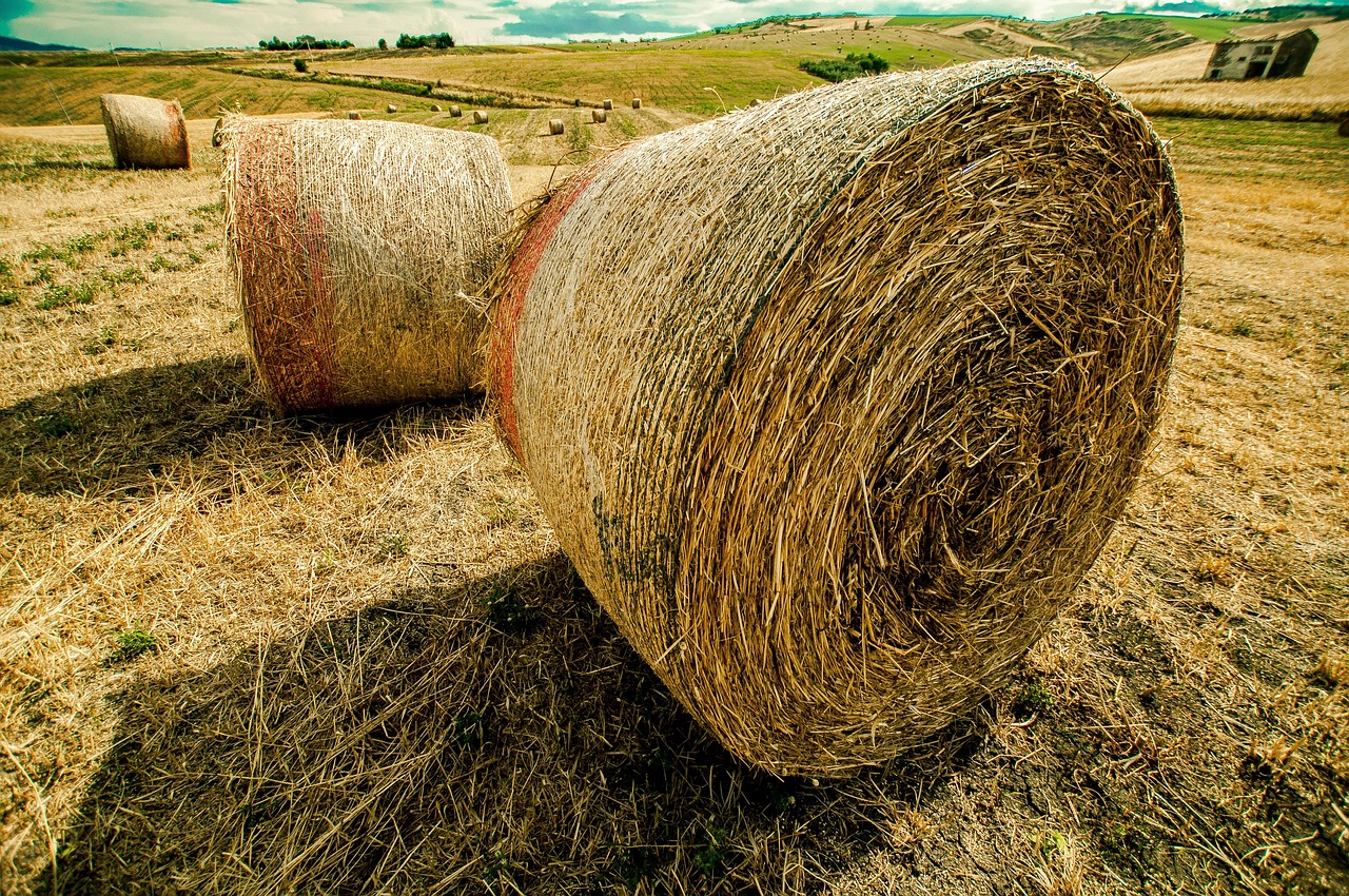 诺普信引领行业变革,智能未来共创辉煌动态新篇章