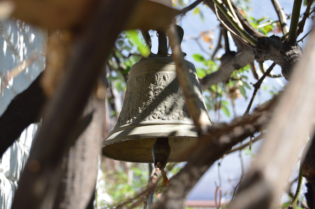 海门人才市场最新职位招聘动态及分析