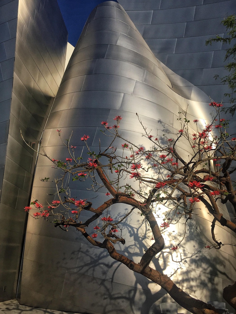 高邮最新建设动态,城市发展的步伐、未来展望与最新进展