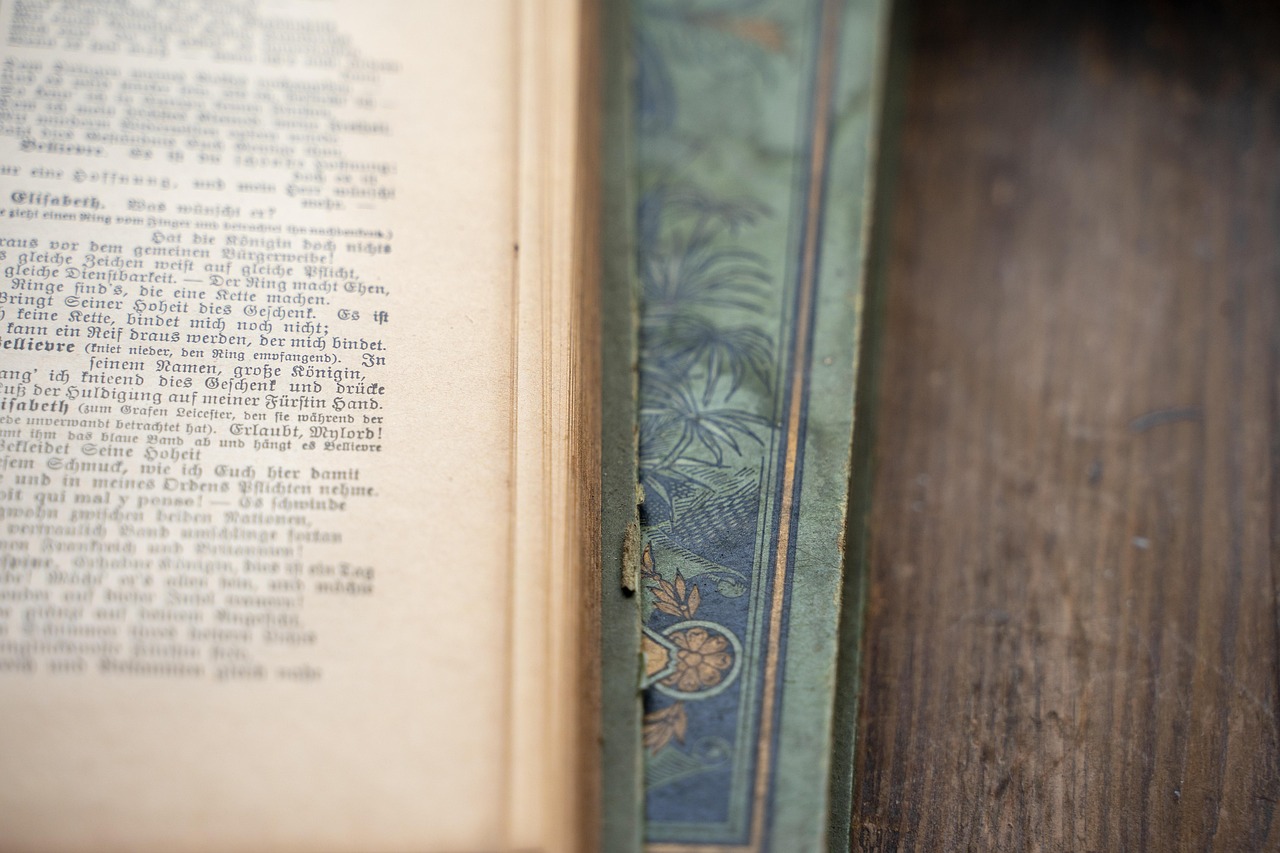 安子轩新动态揭秘,探索未知,勇往直前!