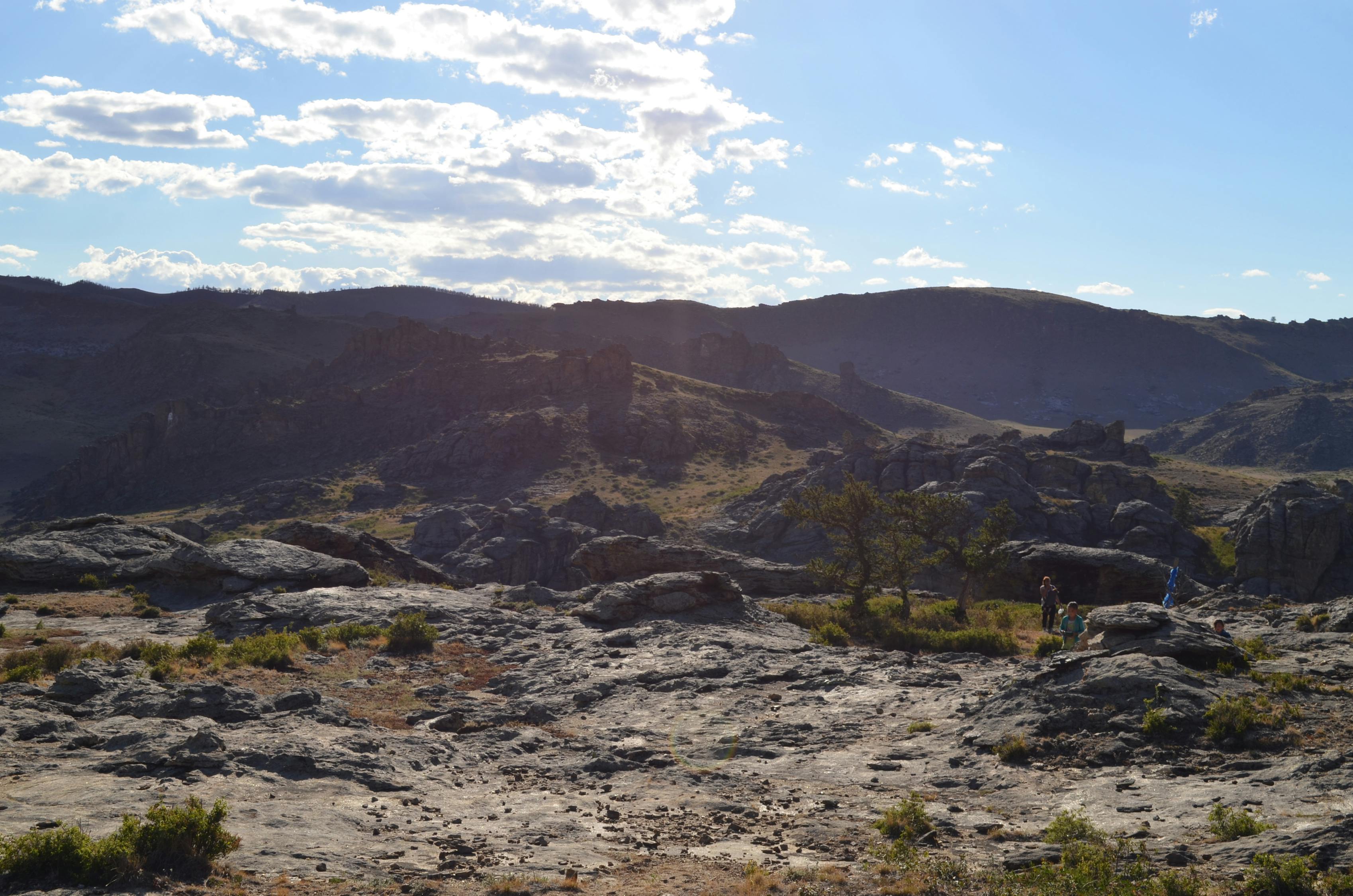 蒙草生态股票,生态产业繁荣与机遇的交汇点