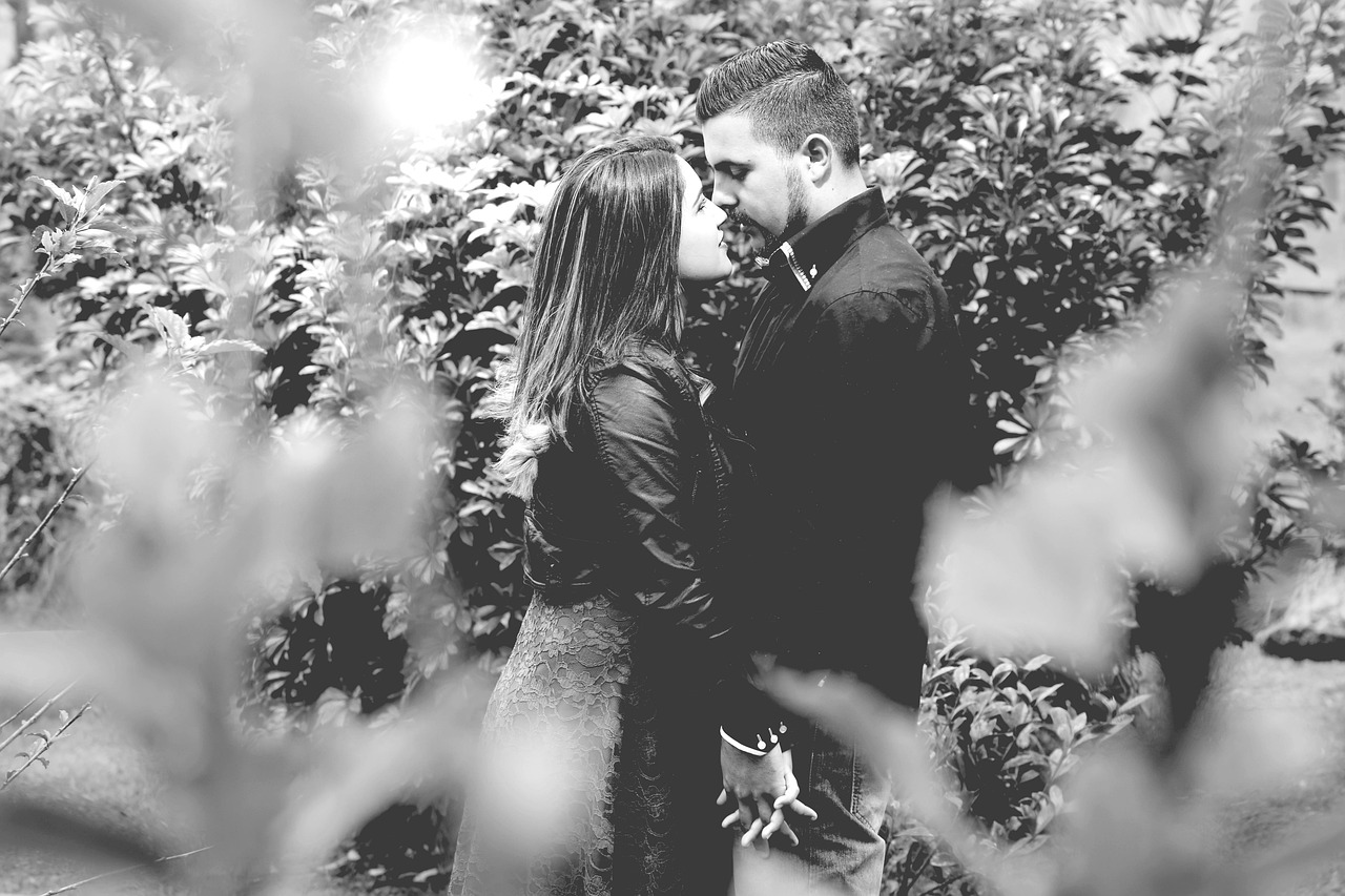 夜玫瑰许念念最新章节,命运交织中的玫瑰绽放