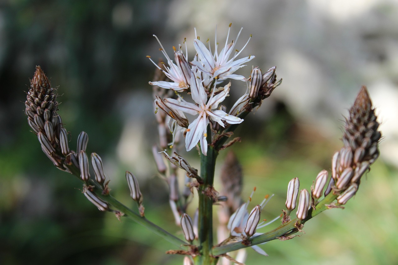 全球最新地震动态发布,监测、应对策略与探讨