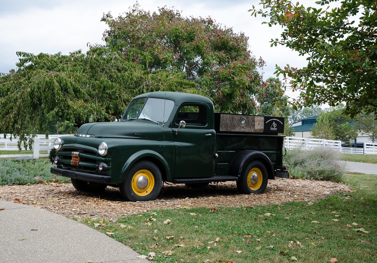 烟台滨海西路最新发展动态,繁荣篇章再续