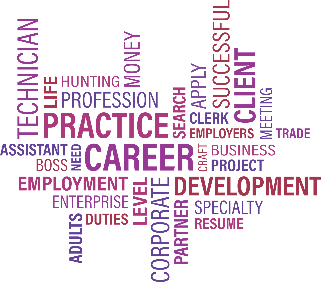 陆川招聘信息概览,职业发展的无限可能与机遇