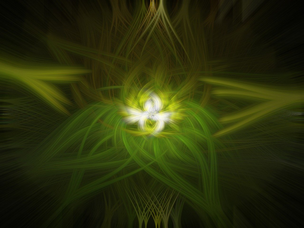 湖塘疫情动态,现状、挑战与未来展望