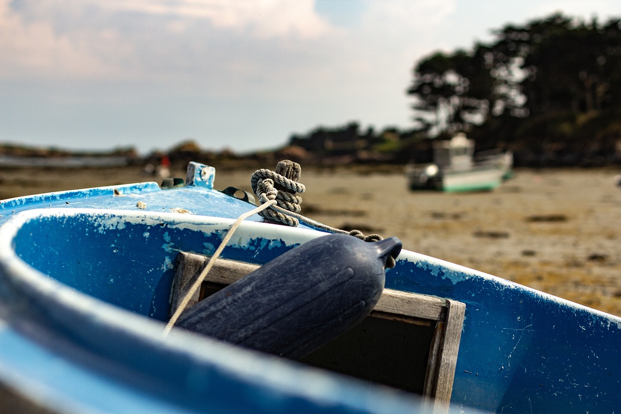 大田疫情最新动态,全面应对,守护家园安宁