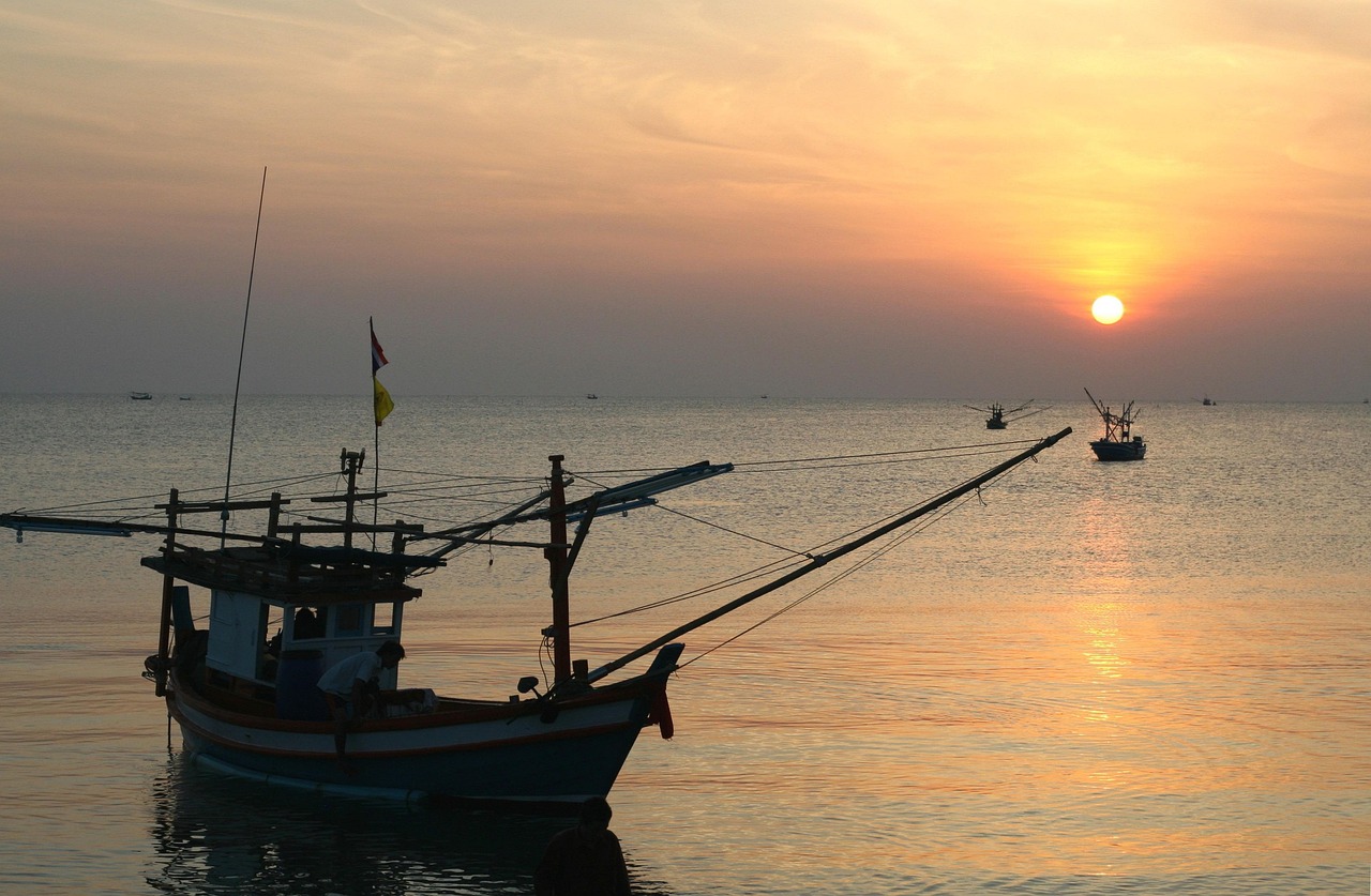 南船股票投资潜力与市场前景深度解析
