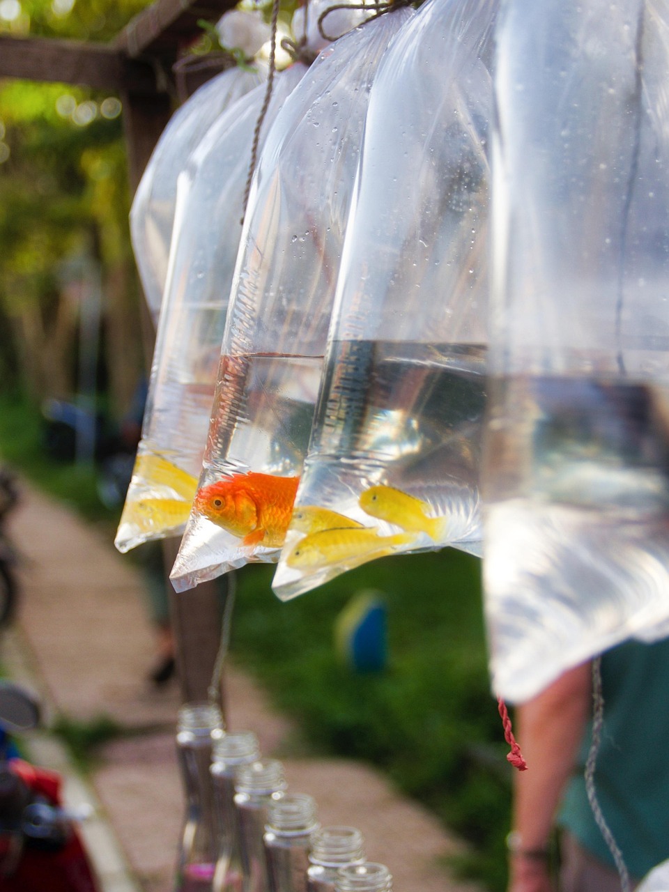 掌上黄金行情实时更新,洞悉黄金市场动态与趋势