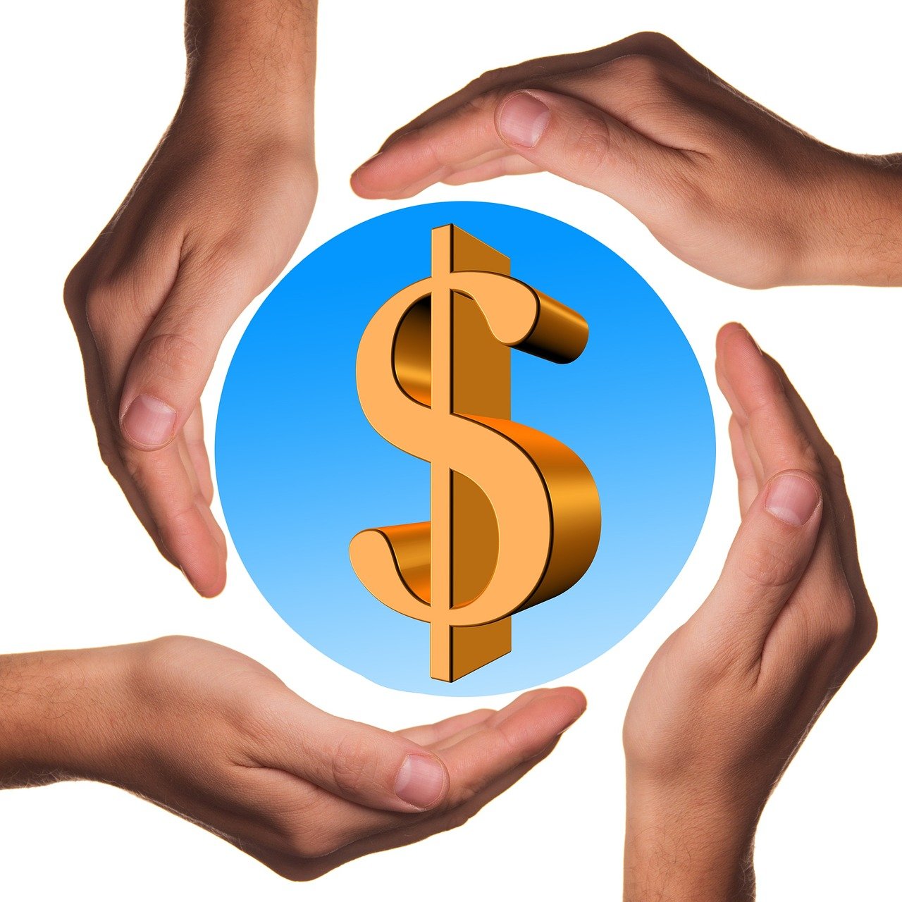 浙江鸡蛋价格行情深度解析与趋势分析