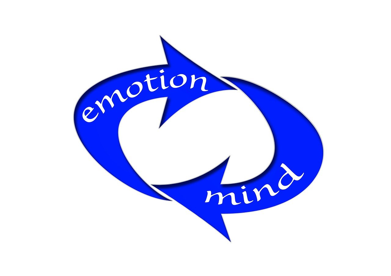 答辩比赛,挑战与机遇并存,展现实力与智慧的光辉舞台