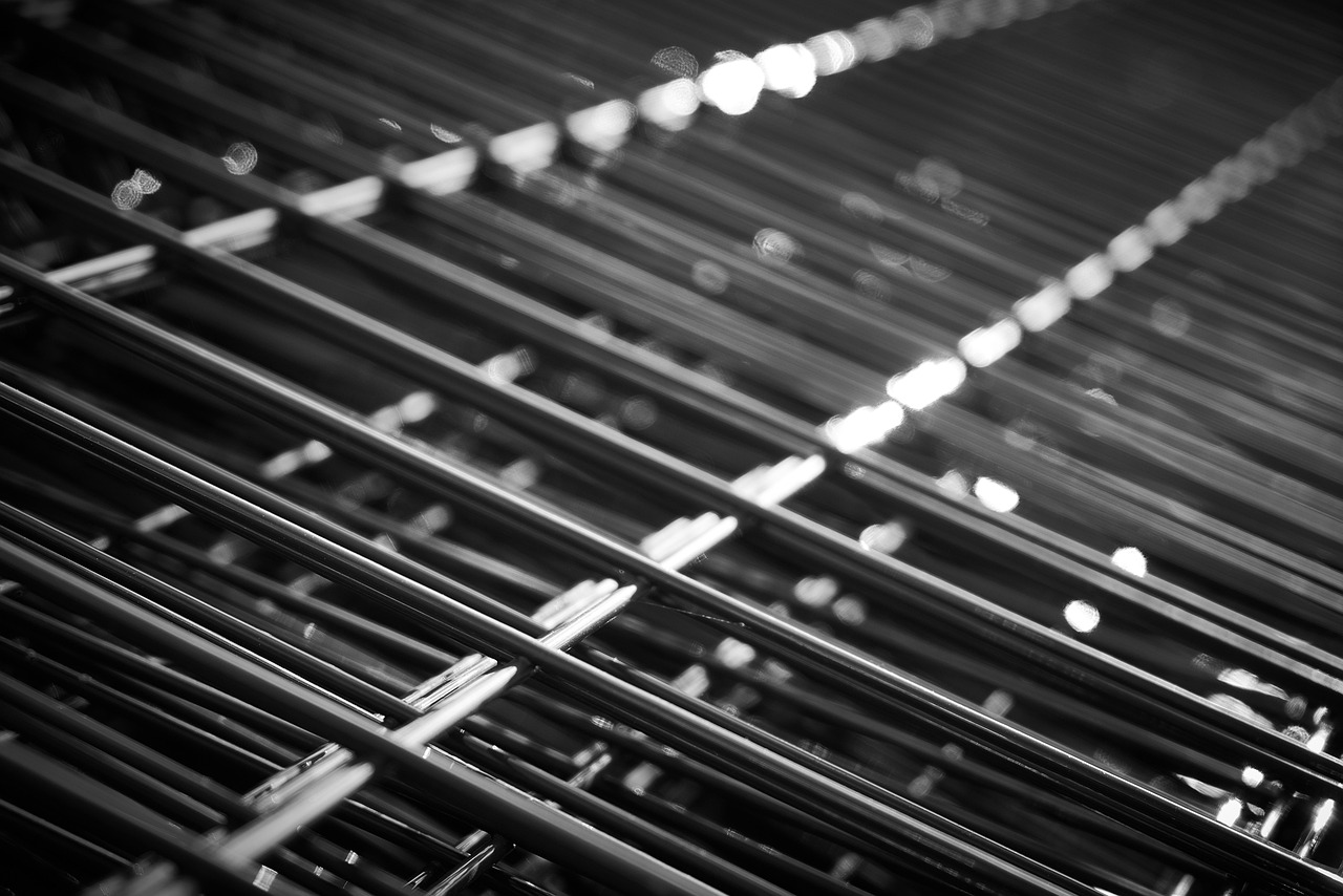 山东芋头最新价格行情分析与趋势预测