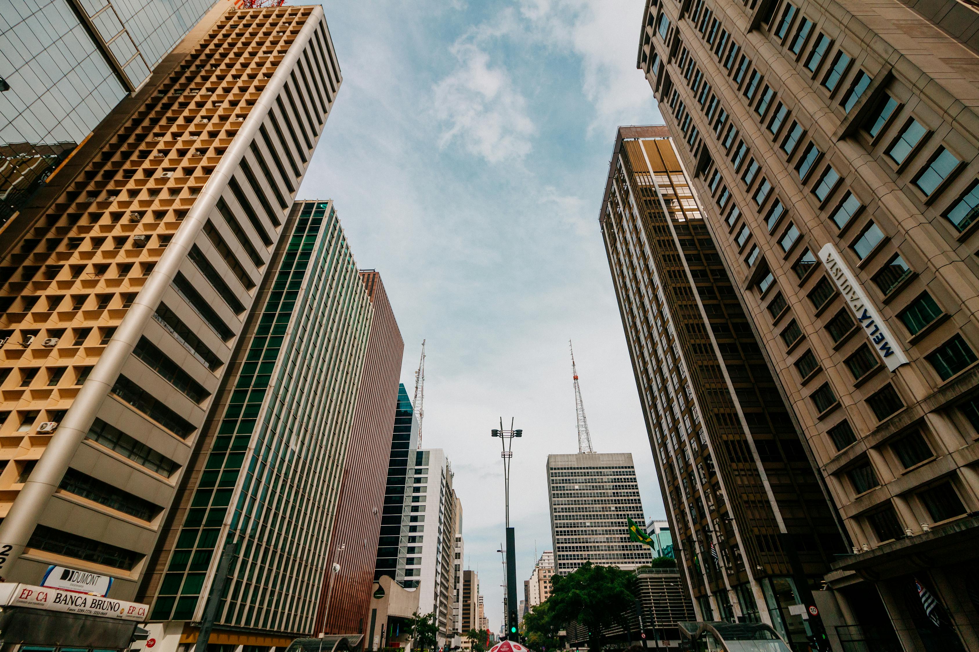 山东多维视角,最新经济、文化、科技与社会发展资讯汇总