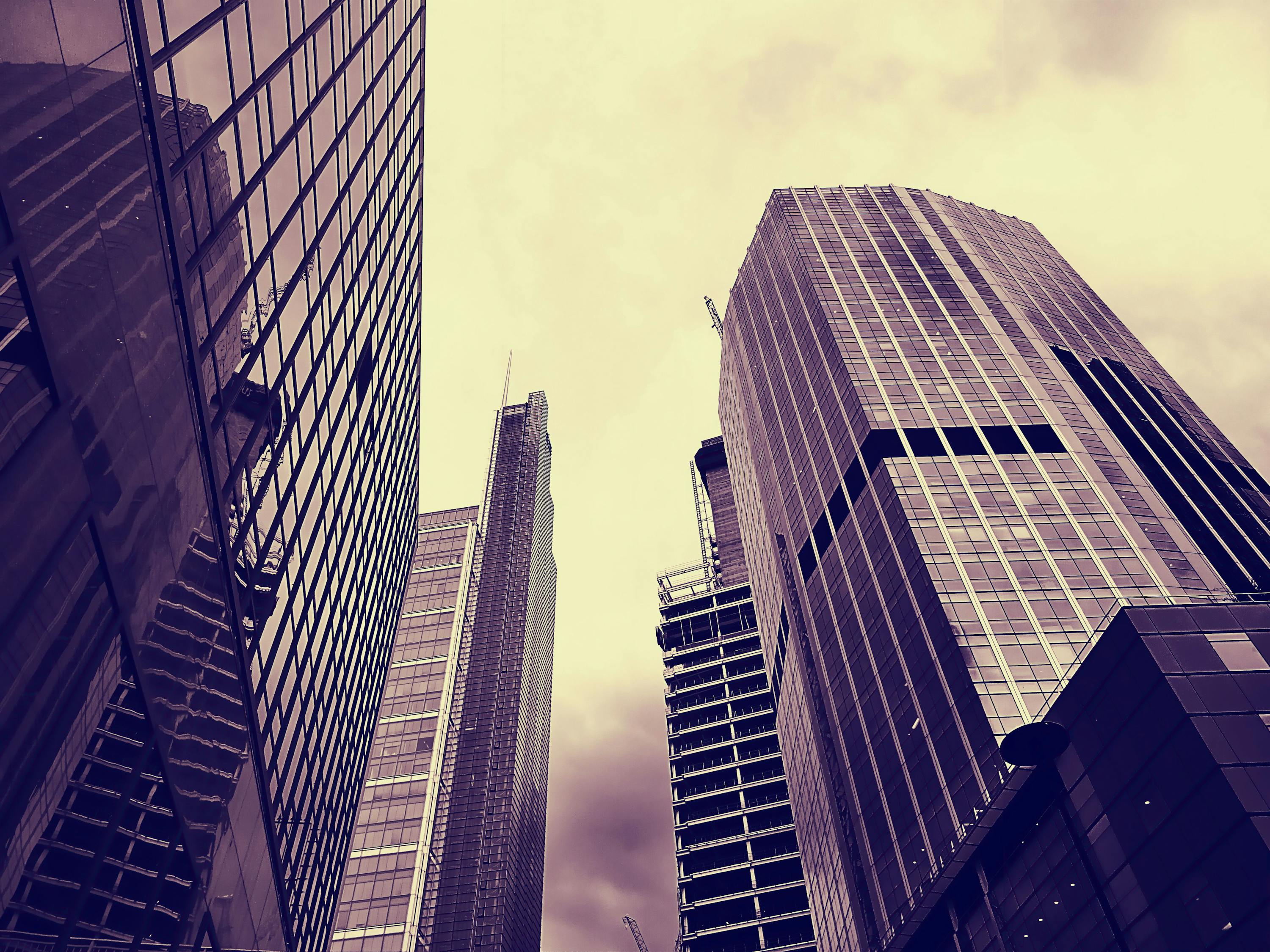 山东多维视角,最新经济、文化、科技与社会发展资讯汇总