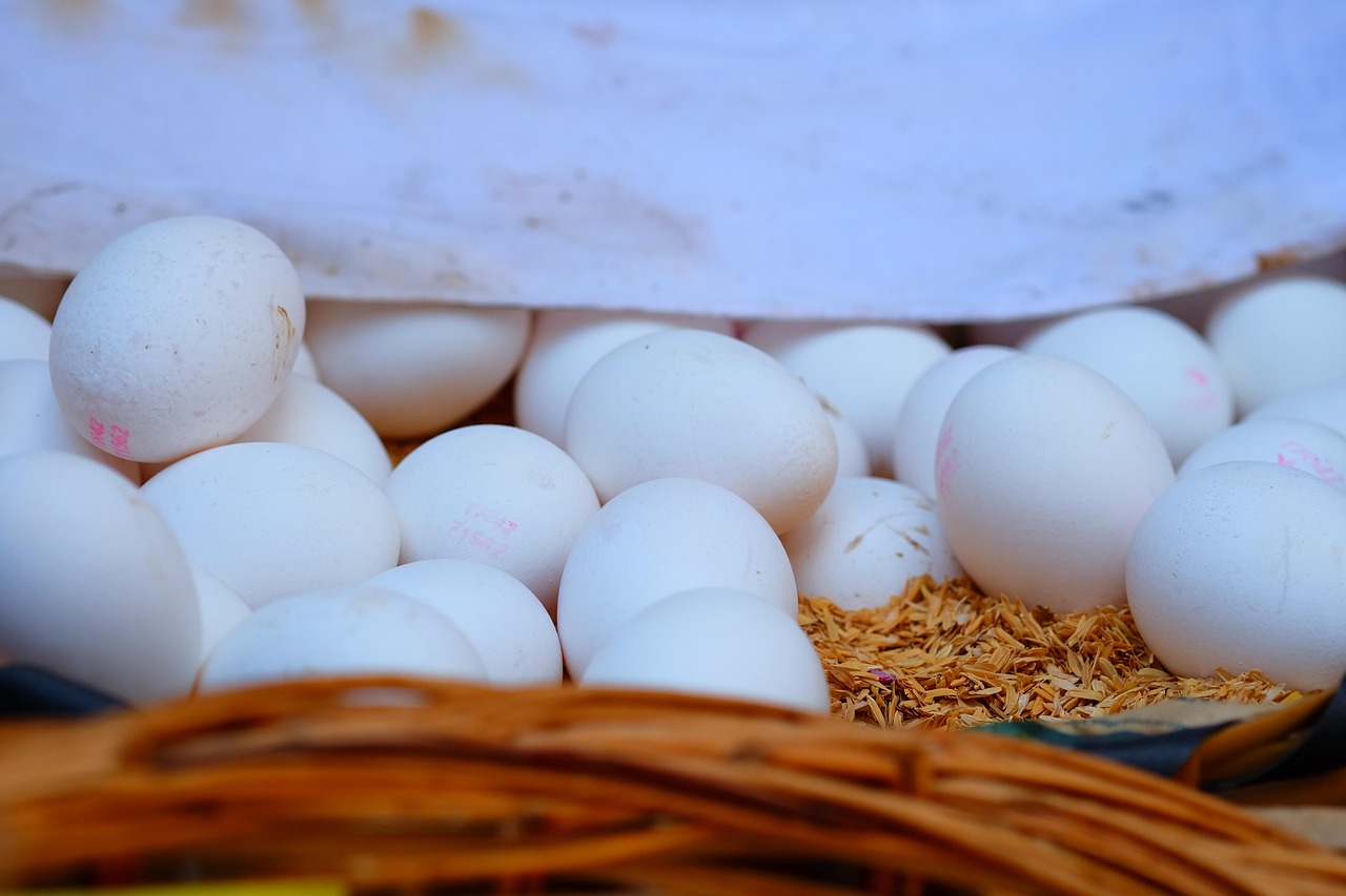 高陵最新动态揭秘,城市发展的前沿展望与未来趋势