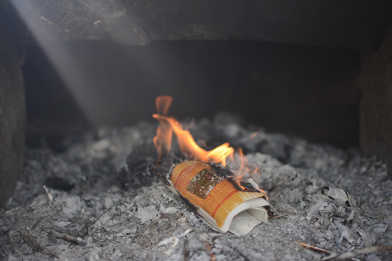 草帽姐音乐之旅与艺术人生的新篇章，最新动态揭秘！