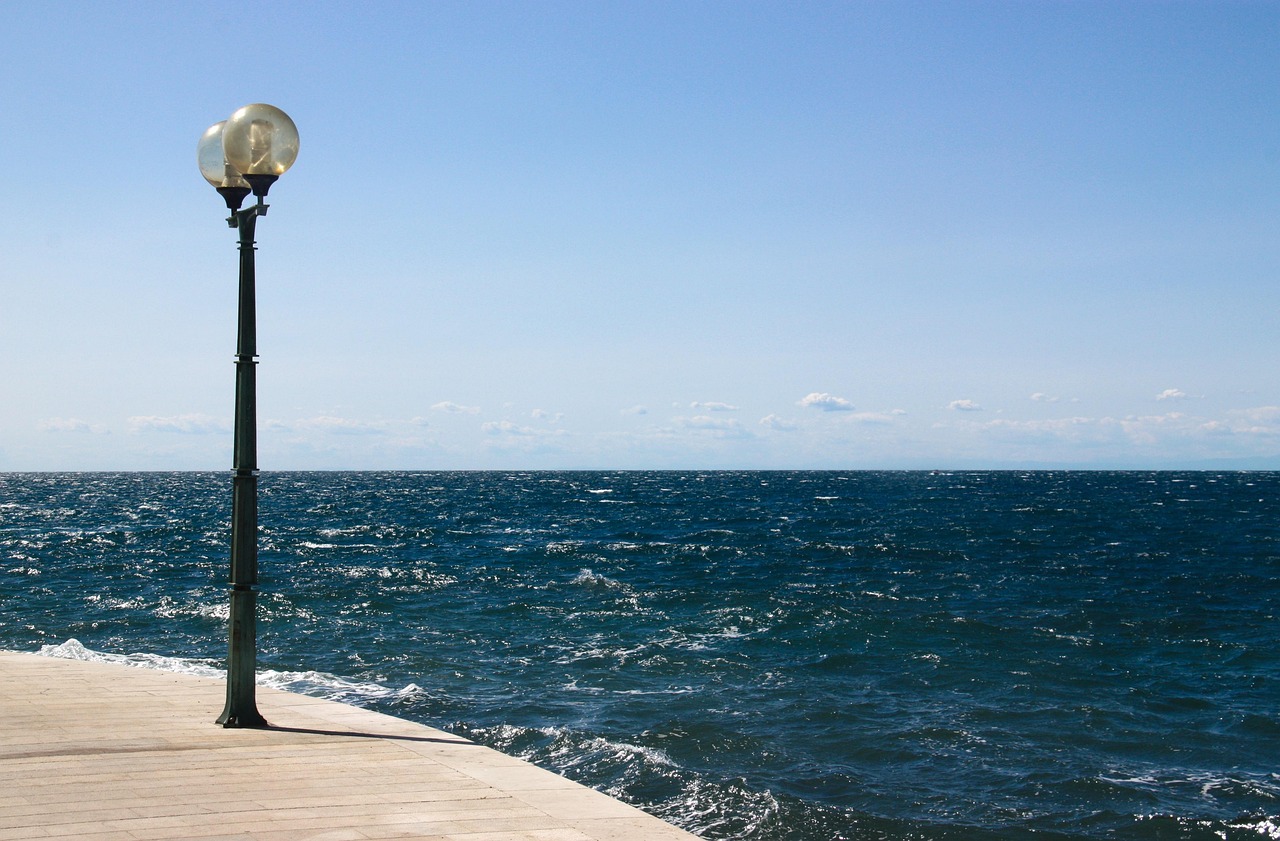 东莞常平最新资讯概览，掌握最新动态与资讯更新