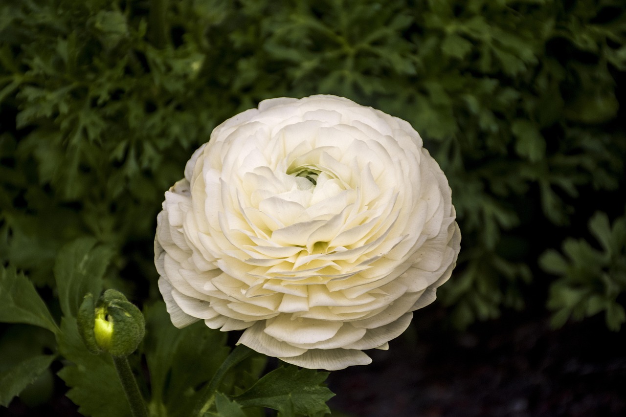 丰台怡海花园最新价格概览及动态分析