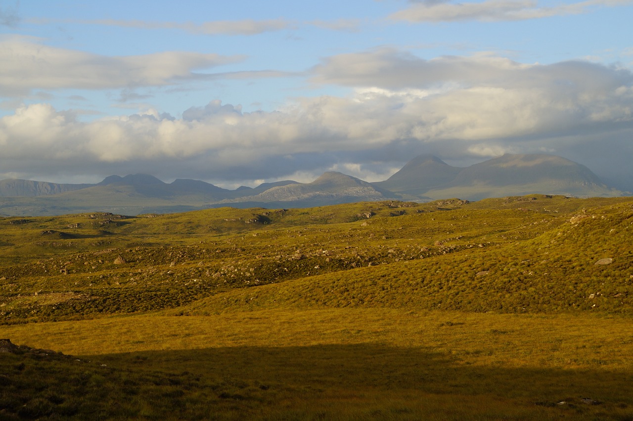 银冬纯色 第3页