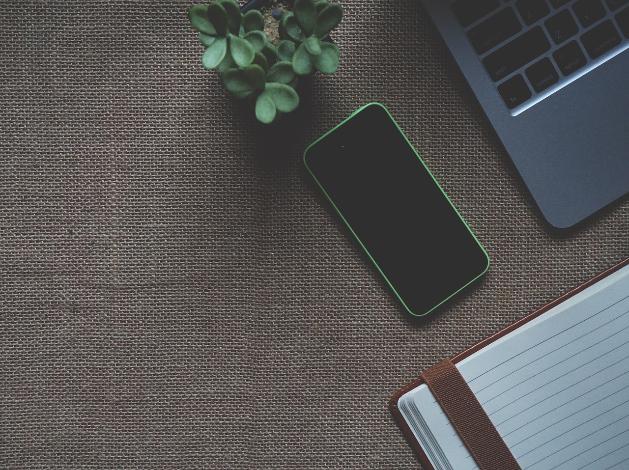 最新红富士苹果,科技与自然的完美融合