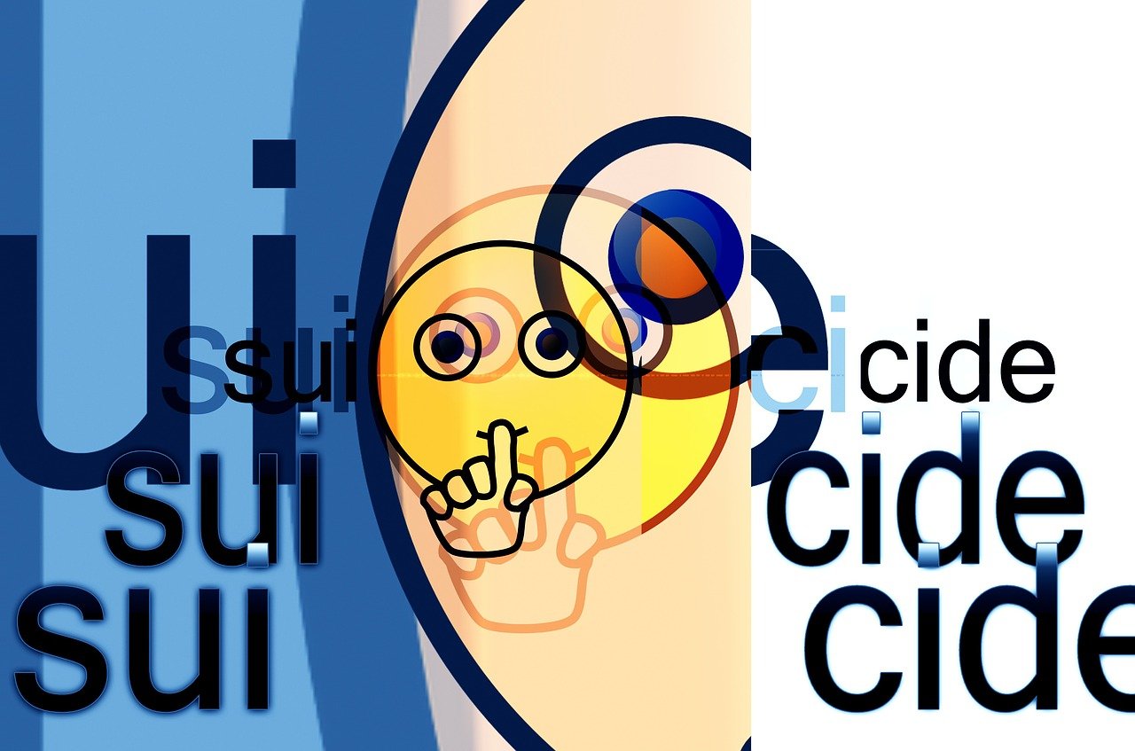 动漫ED的魅力与影响力探讨