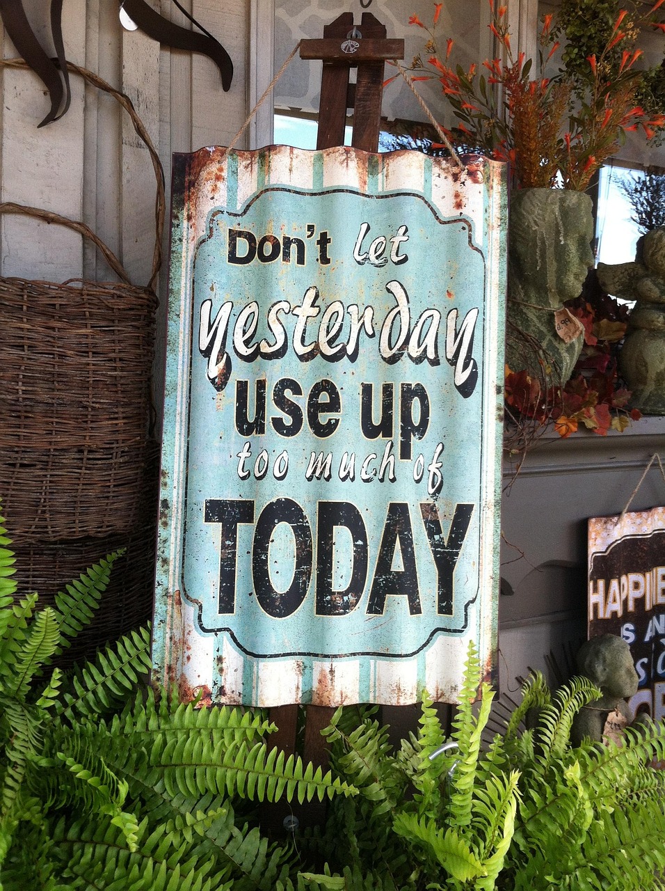 河北今日小麦最新价格动态分析与趋势预测