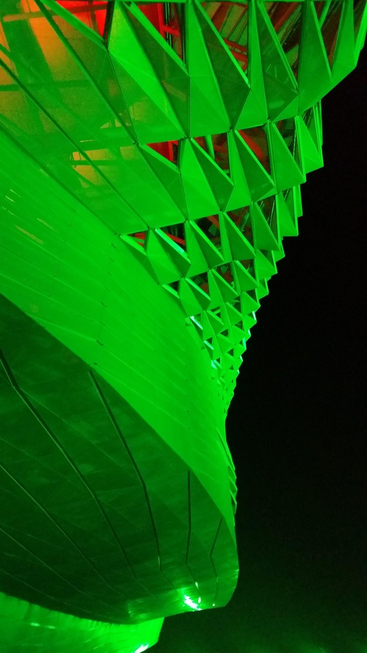 浦东建设最新动态,迈向未来的步伐与蓝图展望