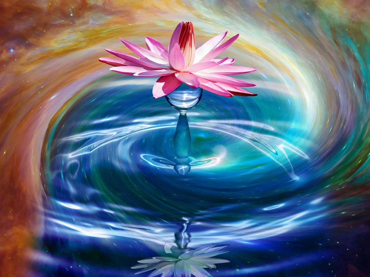 梦幻全民比赛,激情与荣耀的盛宴开启!