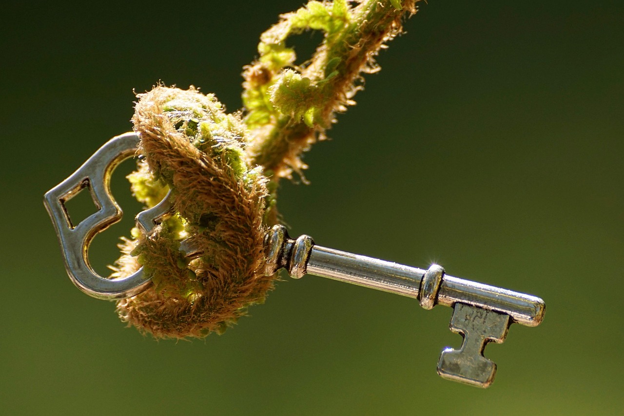 武钢集团迈向高质量发展新征程的最新动态