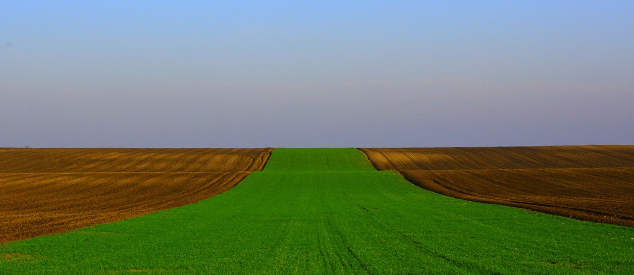 新宁公路规划更新，迈向高效、绿色、智能的未来之路之旅
