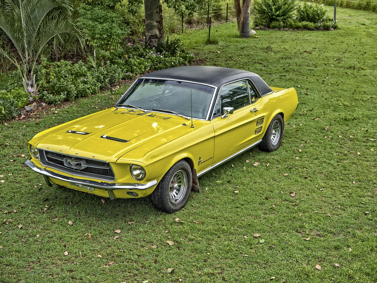 最新电动车型,革新与未来的选择亮相街头