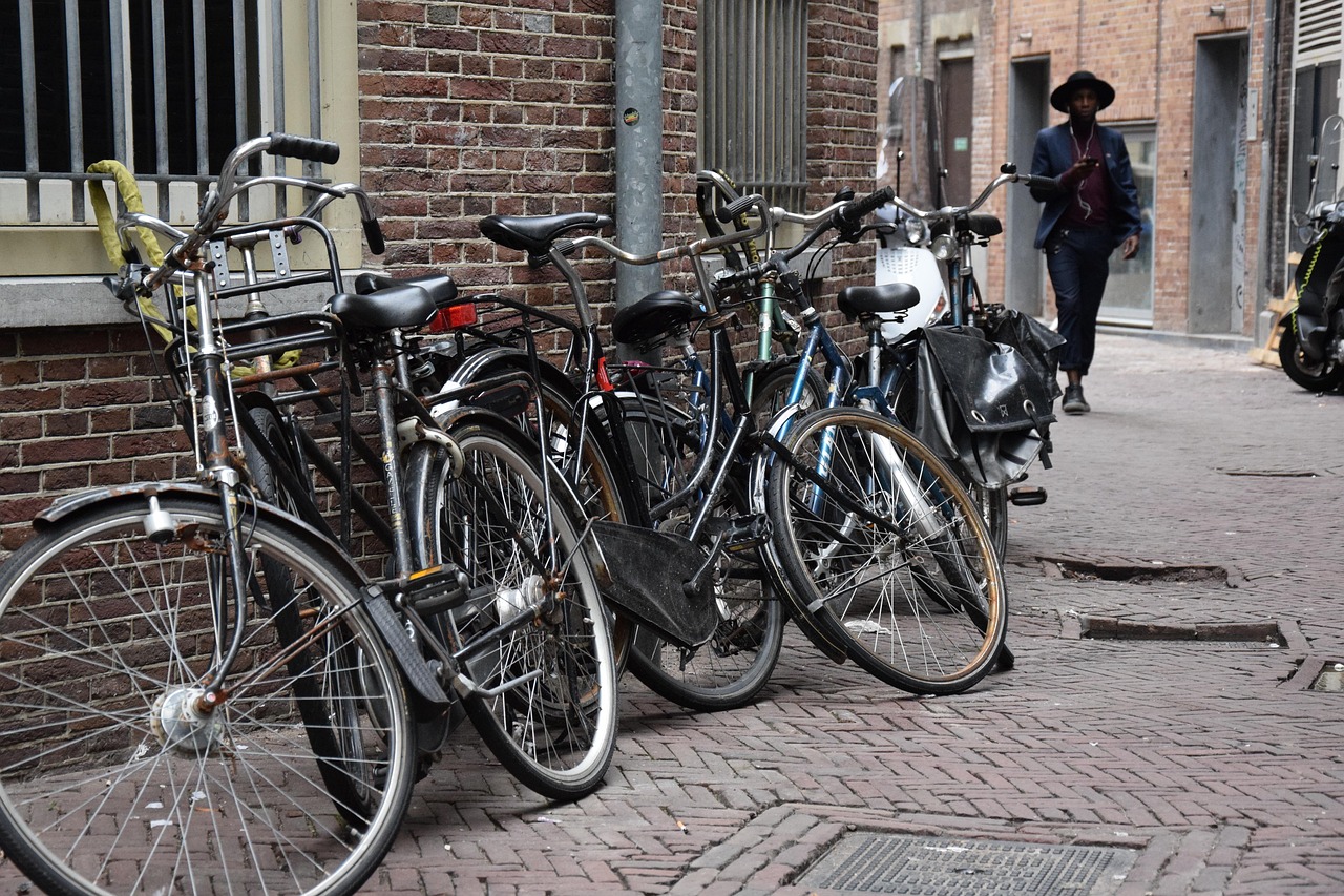 最新电动车型,革新与未来的选择亮相街头