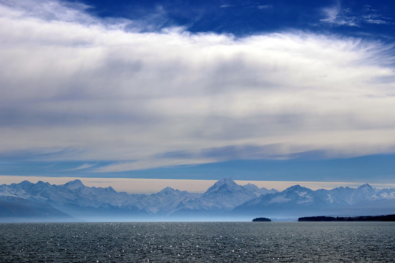德州豪门集团,战略转型与创新之路的最新动态展望未来