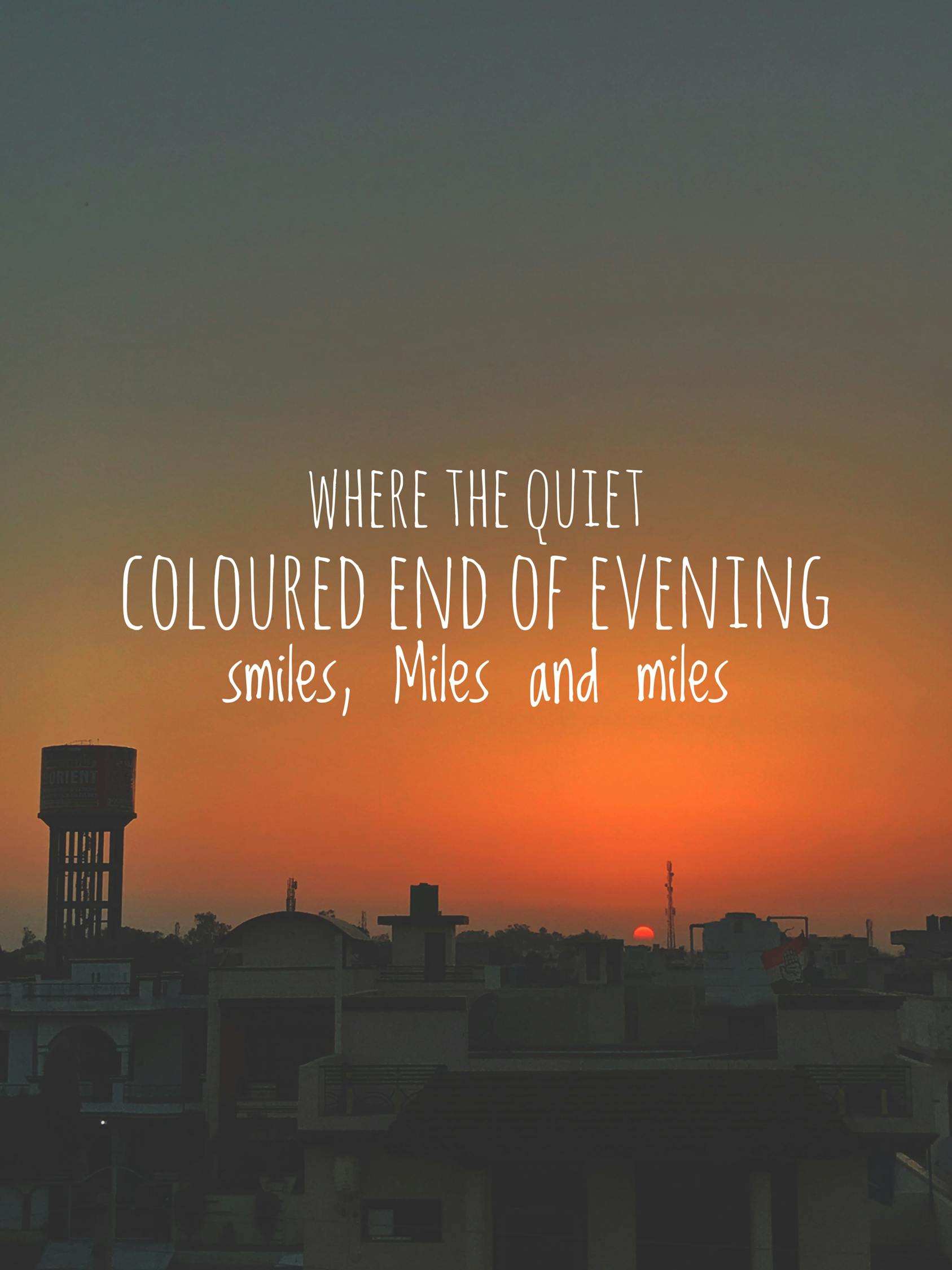 最新苹果价格及动态分析概览