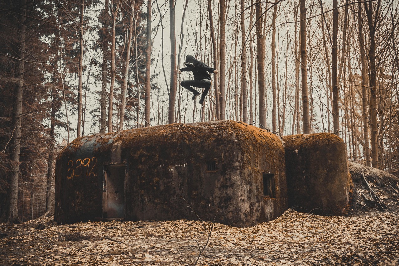 陈村老屋出售,历史与记忆的交织之处