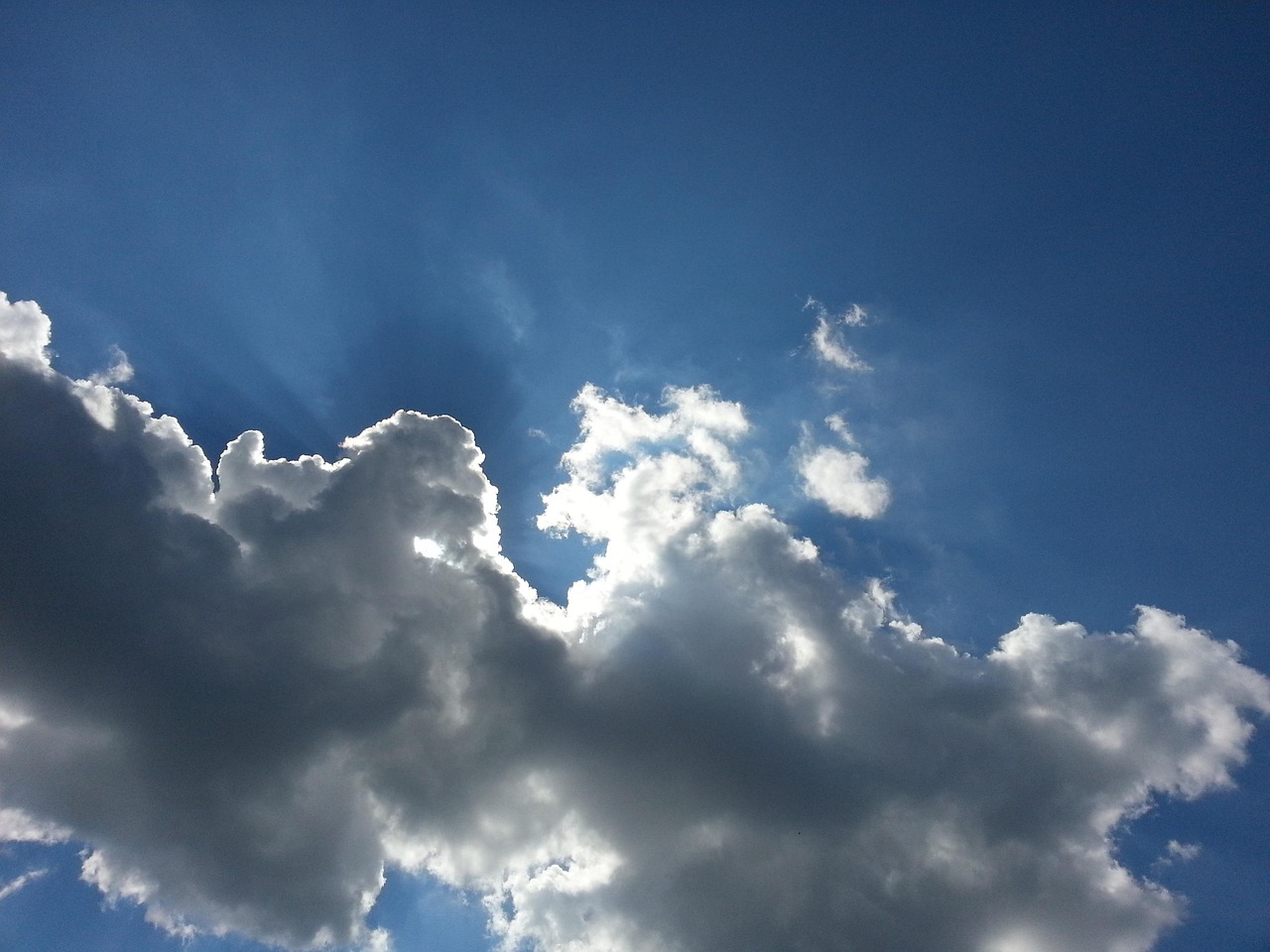 洛阳碧桂园最新房价动态及趋势分析