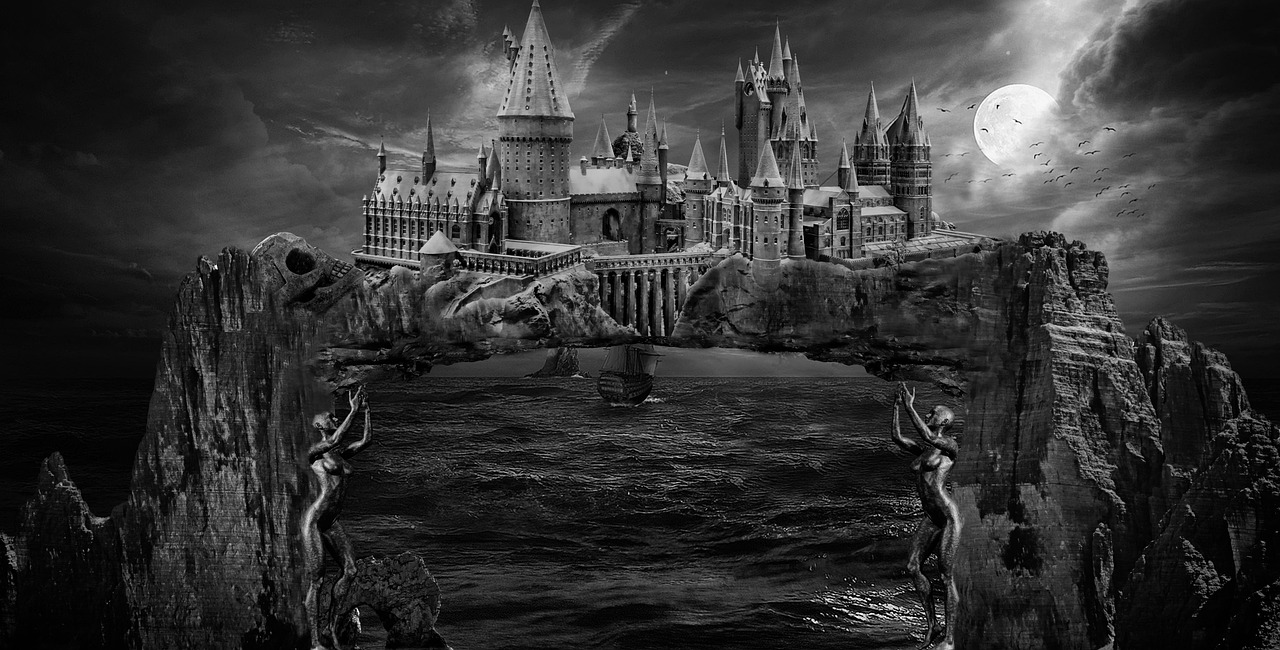 美格股票，探索与洞察之旅