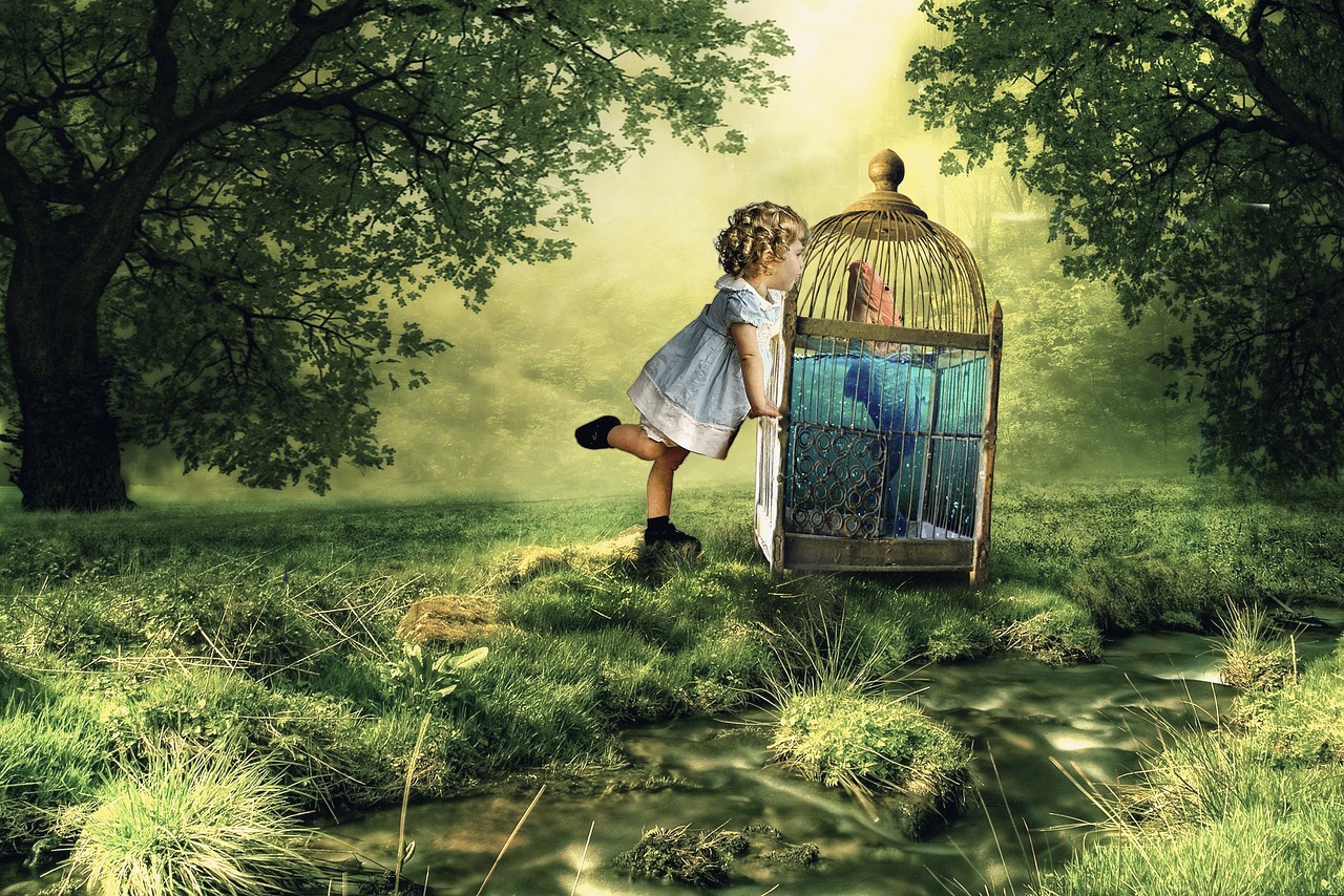 科幻动漫图片的魅力与深远影响